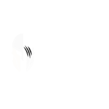 logo 1 spartan branding studio